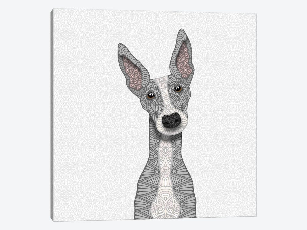 Cute Blue Greyhound by Angelika Parker 1-piece Canvas Print