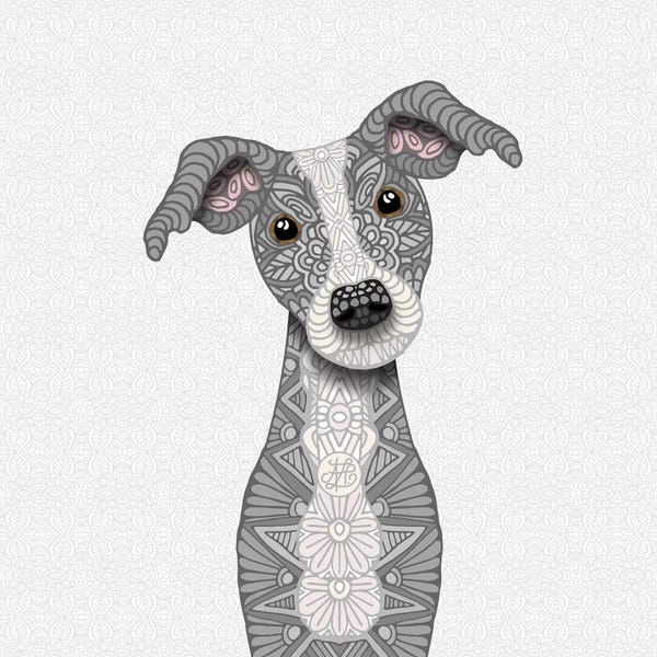 Italian Greyhounds: Cute Blue Iggy by Angelika Parker