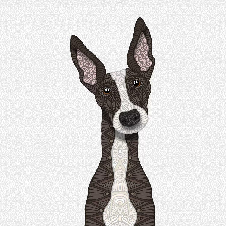 Cute Brindle Greyhound by Angelika Parker wall art