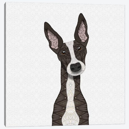 Cute Brindle Greyhound Canvas Print #ANG135} by Angelika Parker Canvas Art Print