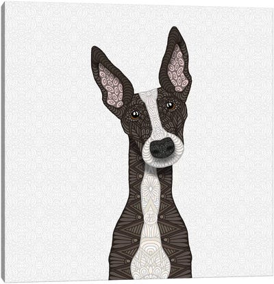 Cute Brindle Greyhound Canvas Art Print - Angelika Parker