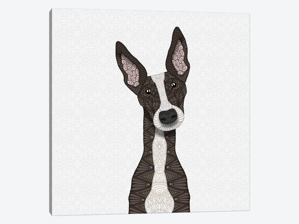 Cute Brindle Greyhound by Angelika Parker 1-piece Canvas Artwork