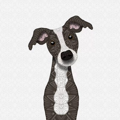 Cute Brindle Iggy by Angelika Parker canvas print