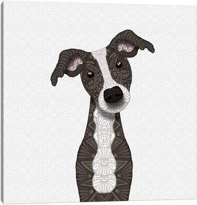 Cute Brindle Iggy Canvas Art Print - Italian Greyhound Art