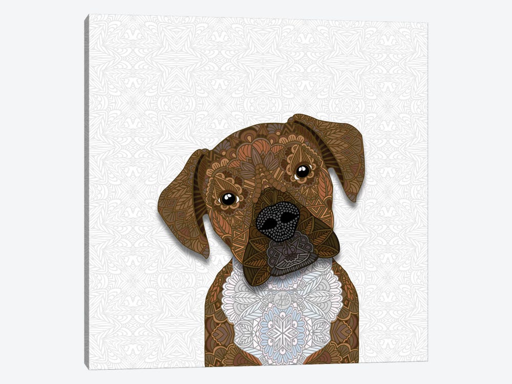 Cute Fawn Boxer by Angelika Parker 1-piece Canvas Print