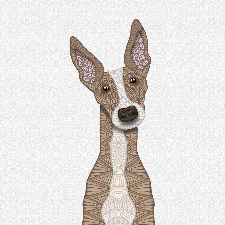 Cute Fawn Greyhound by Angelika Parker wall art