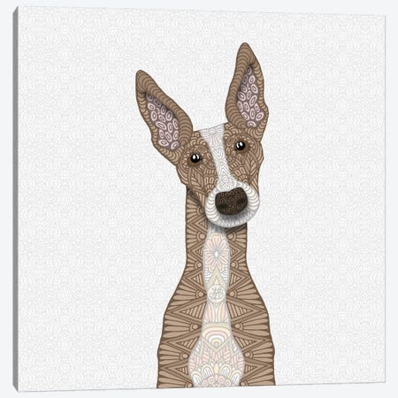 Cute Fawn Greyhound Canvas Print #ANG140} by Angelika Parker Art Print