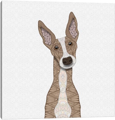 Cute Fawn Greyhound Canvas Art Print - Greyhound Art