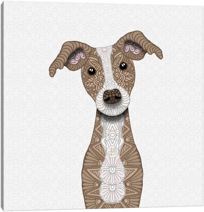 Cute Fawn Iggy Canvas Art Print - Italian Greyhound Art