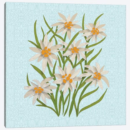 Edelweiss Canvas Print #ANG145} by Angelika Parker Canvas Artwork