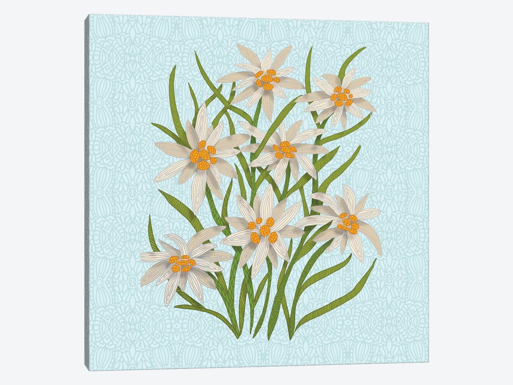 Edelweiss by Angelika Parker 1-piece Canvas Print