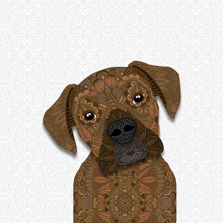 Fawn Boxer