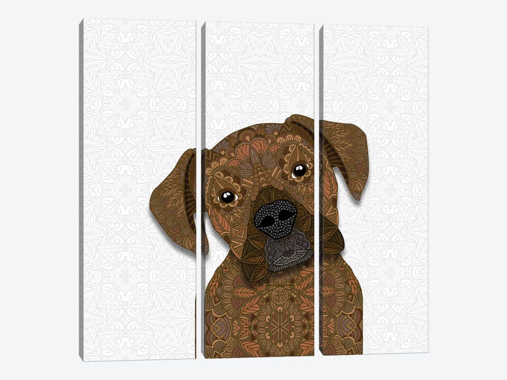 Fawn Boxer by Angelika Parker 3-piece Canvas Wall Art