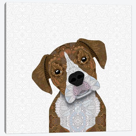 Fawn Boxer, White Snout Canvas Print #ANG147} by Angelika Parker Canvas Wall Art