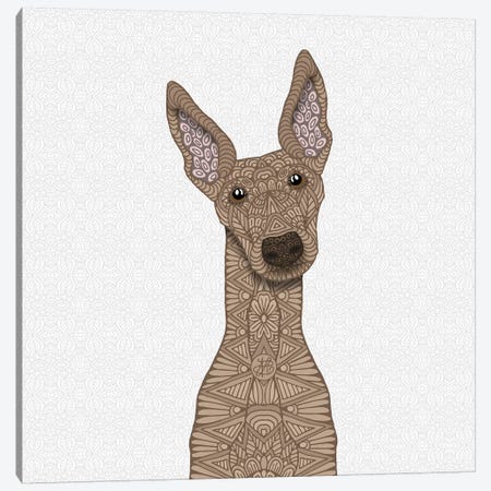 Fawn Greyhound Canvas Print #ANG149} by Angelika Parker Canvas Art Print