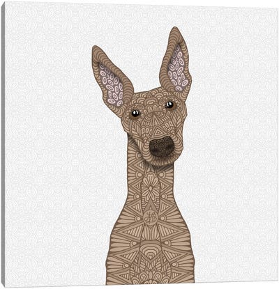 Fawn Greyhound Canvas Art Print - Greyhound Art