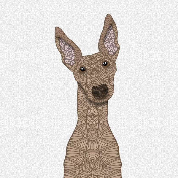 Fawn Greyhound