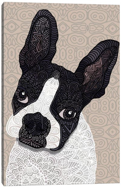 Bosten Terrier Canvas Art Print - Boston Terrier Art