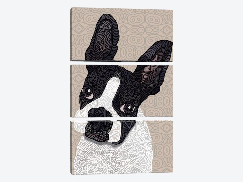 Bosten Terrier by Angelika Parker 3-piece Art Print