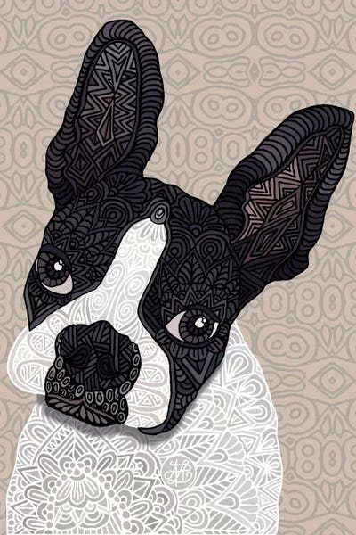 Terriers: Bosten Terrier by Angelika Parker