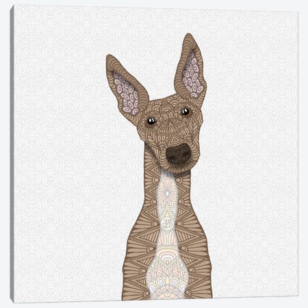 Fawn Greyhound, White Belly Canvas Print #ANG150} by Angelika Parker Canvas Artwork