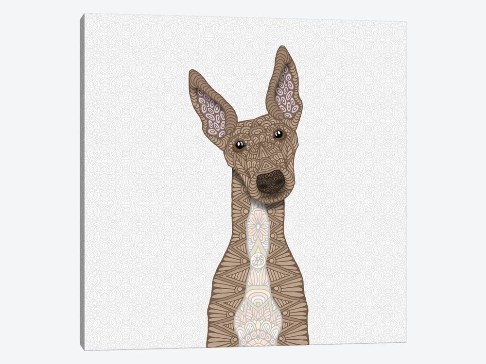 Fawn Greyhound, White Belly by Angelika Parker 1-piece Canvas Print