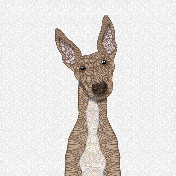 Greyhounds: Fawn Greyhound, White Belly by Angelika Parker