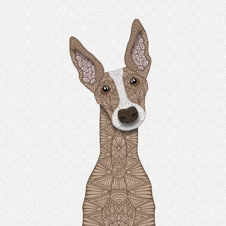 Fawn Greyhound, White Shout by Angelika Parker wall art