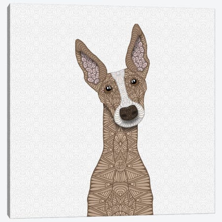 Fawn Greyhound, White Shout Canvas Print #ANG151} by Angelika Parker Canvas Artwork