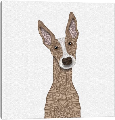 Fawn Greyhound, White Shout Canvas Art Print - Greyhound Art