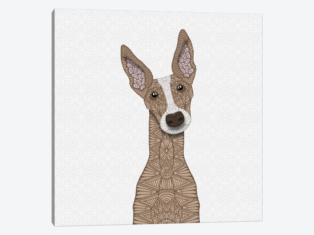 Fawn Greyhound, White Shout by Angelika Parker 1-piece Canvas Wall Art