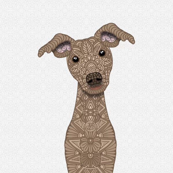 Italian Greyhounds: Fawn Iggy by Angelika Parker