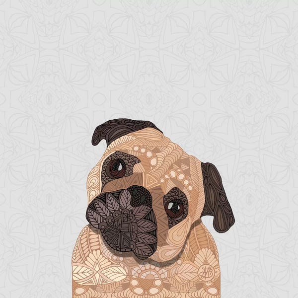 Pugs: Fawn Pug by Angelika Parker