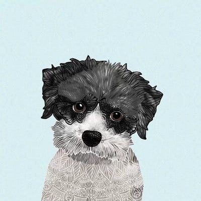 Little Havanese by Angelika Parker canvas print