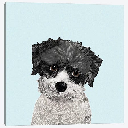 Little Havanese Canvas Print #ANG162} by Angelika Parker Canvas Print