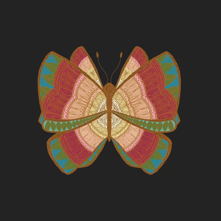 Moth by Angelika Parker wall art