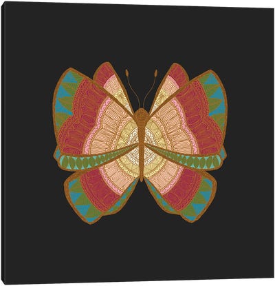 Moth Canvas Art Print - Angelika Parker