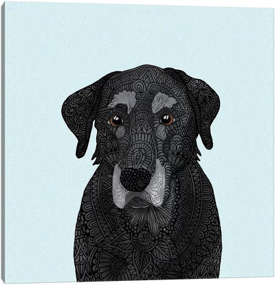 Old Black Lab Canvas Art Print - Labrador Retriever Art
