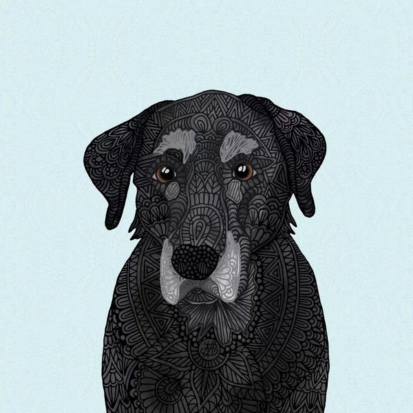 Labrador Retrievers: Old Black Lab by Angelika Parker