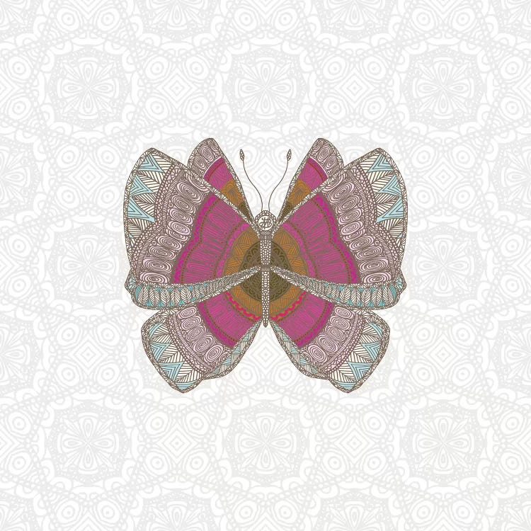 Pink Butterfly