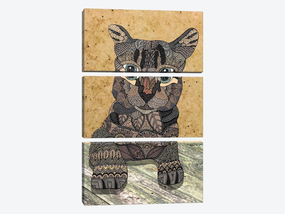 Cat by Angelika Parker 3-piece Canvas Print