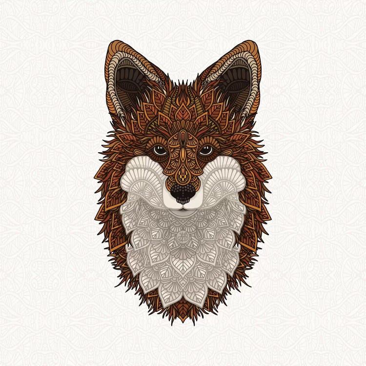 Red Fox