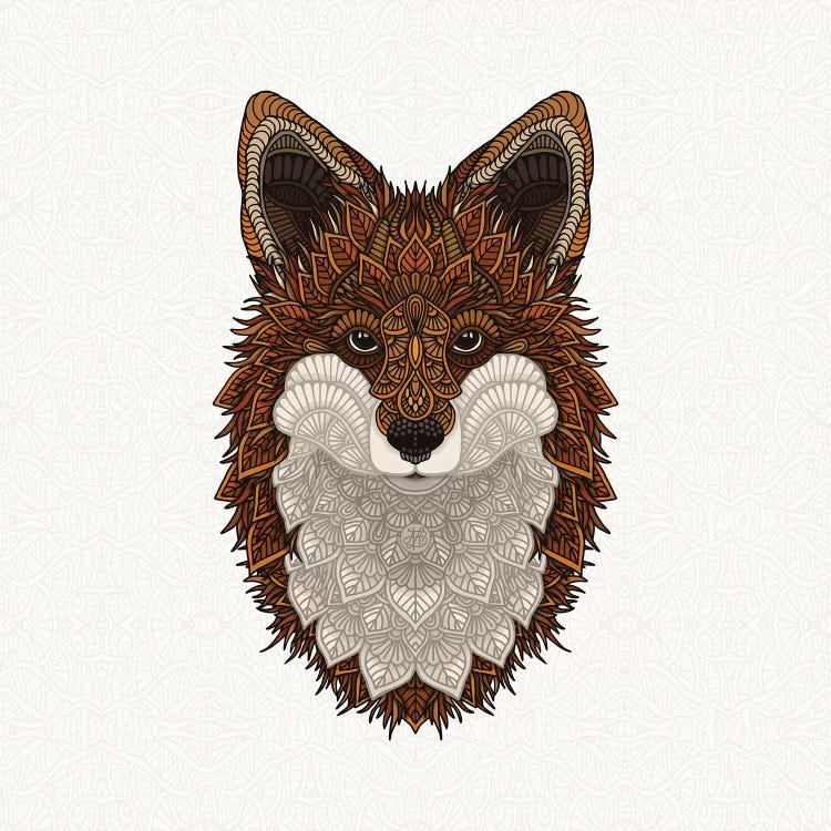 Red Fox