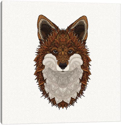 Red Fox Canvas Art Print - Angelika Parker