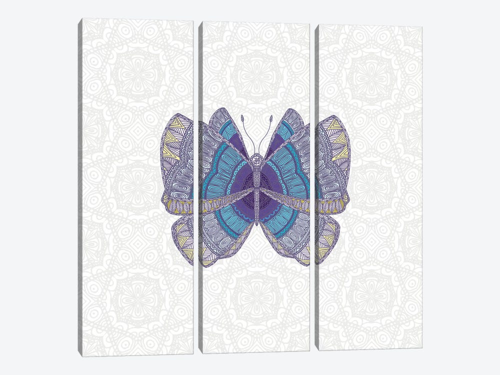 Teal Butterfly by Angelika Parker 3-piece Canvas Print