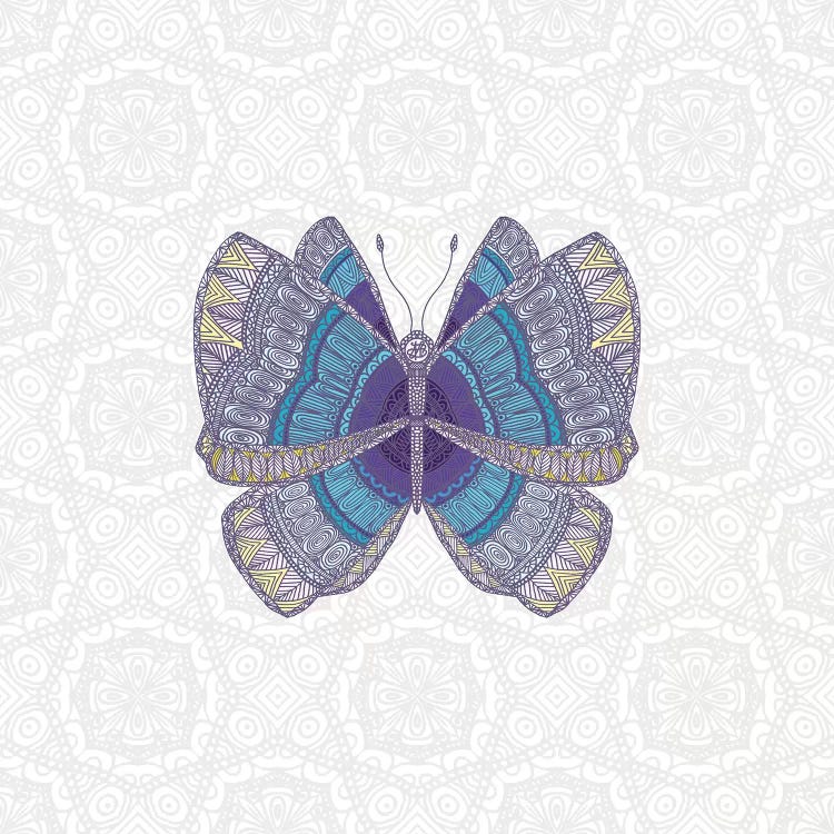 Teal Butterfly