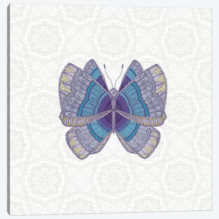 Teal Butterfly Canvas Print #ANG174} by Angelika Parker Art Print