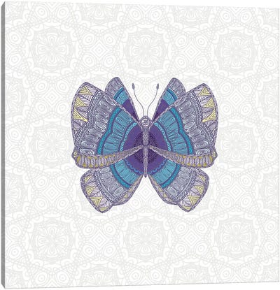 Teal Butterfly Canvas Art Print - Angelika Parker