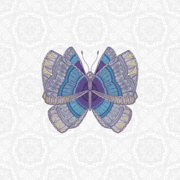 Teal Butterfly