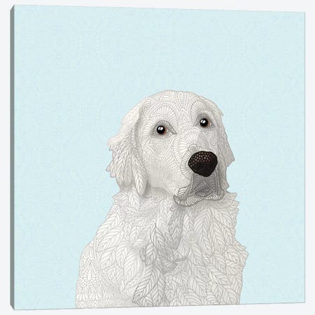 White Retriever Canvas Print #ANG180} by Angelika Parker Canvas Art Print
